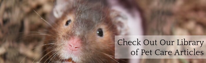 Pet Care Sheets & Articles