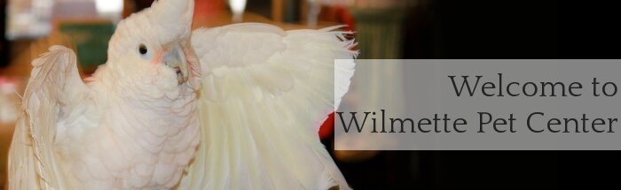 Welcome to Wilmette Pet Center